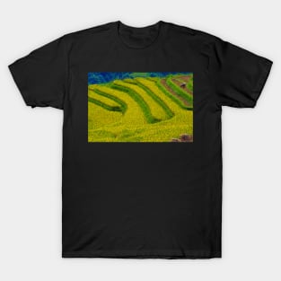 Rice Terrace. T-Shirt